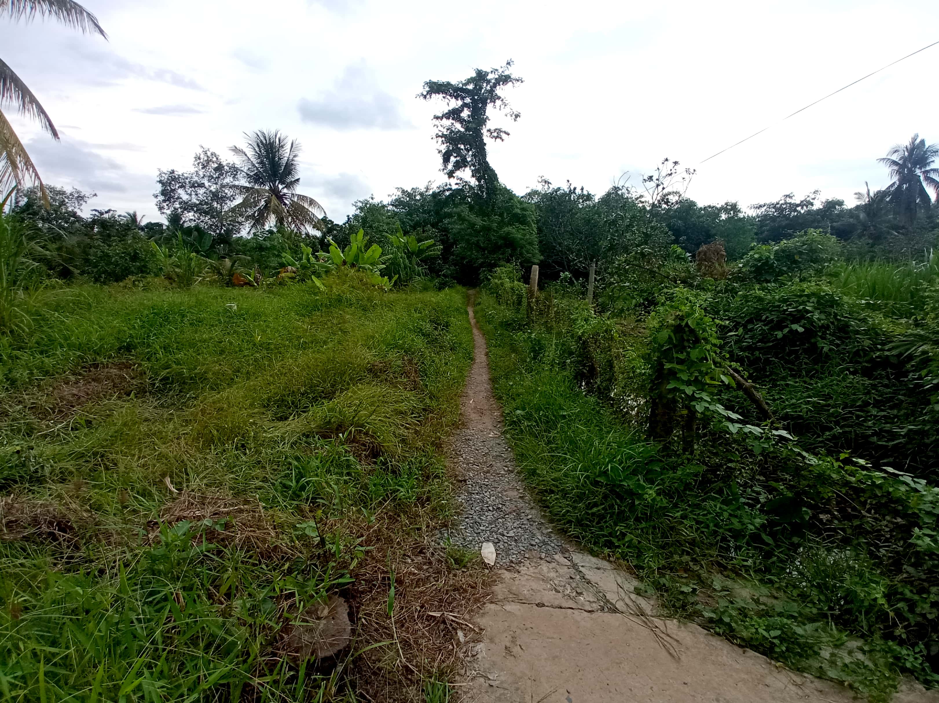 BĐS tại Long Hòa A, Đạo Thạnh, TP.Mỹ Tho, Tiền Giang